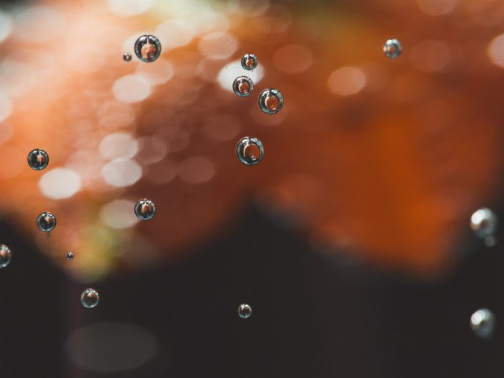 abstract image with water bubbles and an orange flower