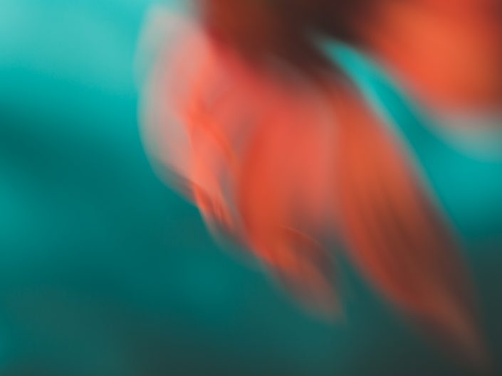 macro abstract image with orange and teal colors